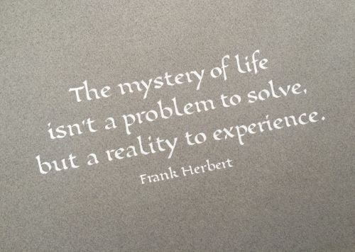 Frank Herbet's Quote